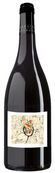 FOND BLANC BOUTEILLES PRIMEURS 2026